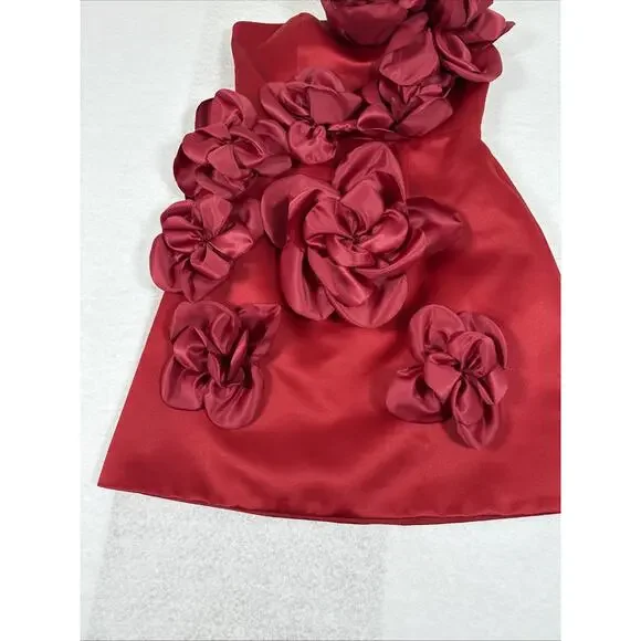 Ritara Red Rose Dress - Picture 5 of 11